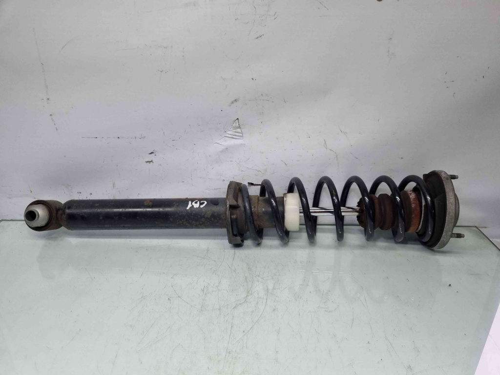 Amortizor stanga spate Bmw 5 (F10) [Fabr 2011-2016] OEM 2.0 N47 2.0 N47 135KW / 184CP