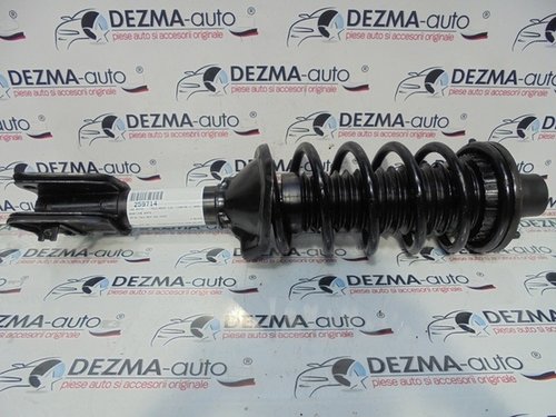 Amortizor stanga spate, Land Rover Freelander (LN) 2.0 d (id:259714)