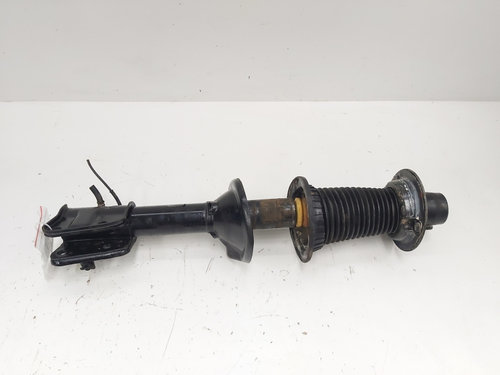 Amortizor stanga spate, Land Rover Freelander (LN), 2.0 diesel, 204D3, 4X4 (id:638247)
