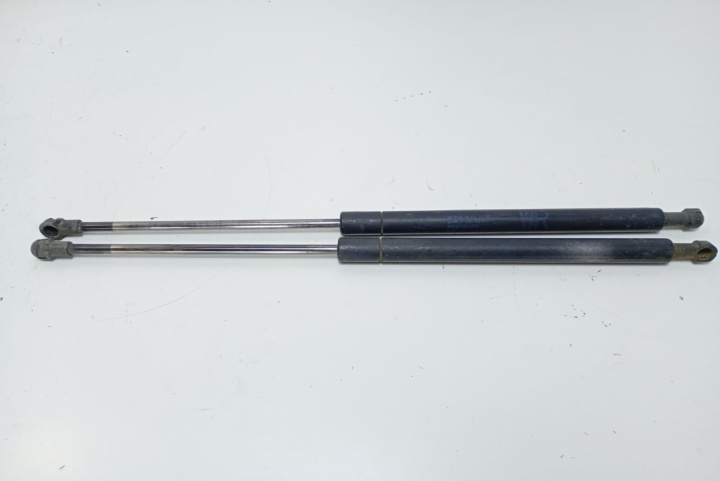 Amortizor telescoape haion Toyota Avensis 2 T25 [facelift] [2006 - 2009]