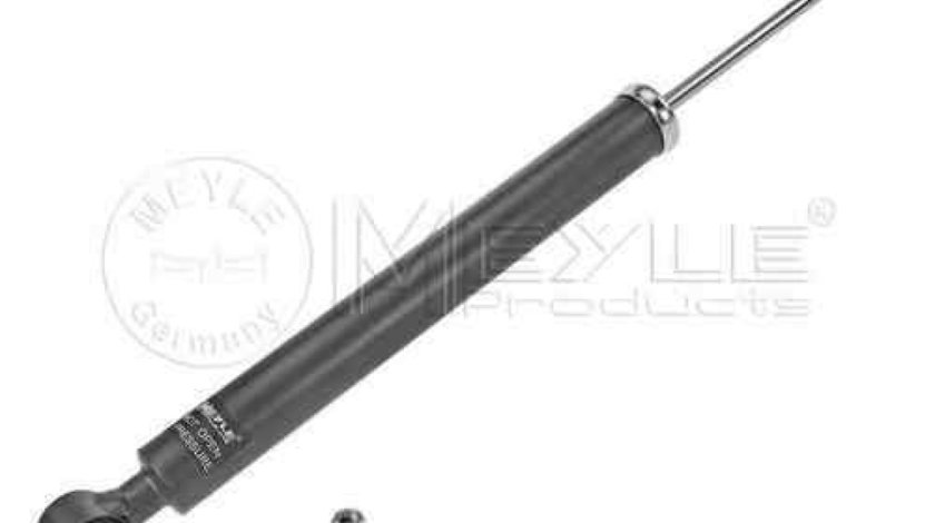 amortizor telescop MERCEDES-BENZ C-CLASS W204 MEYLE 026 725 0019