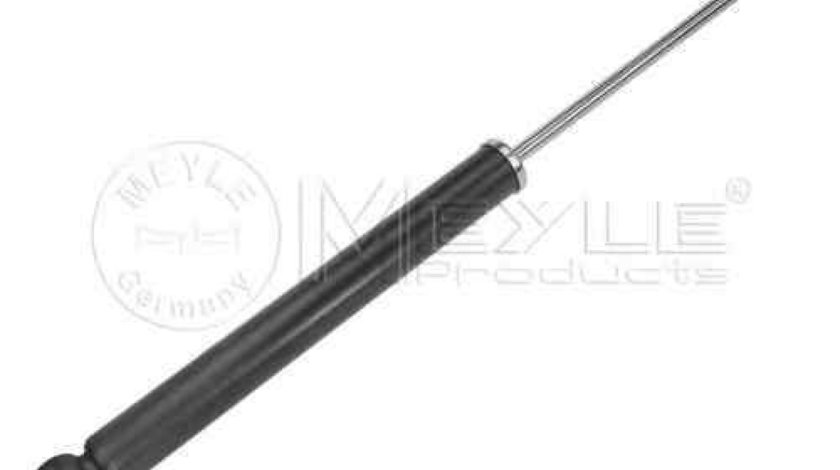 amortizor telescop TOYOTA AYGO WNB1 KGB1 MEYLE 40-26 725 0008