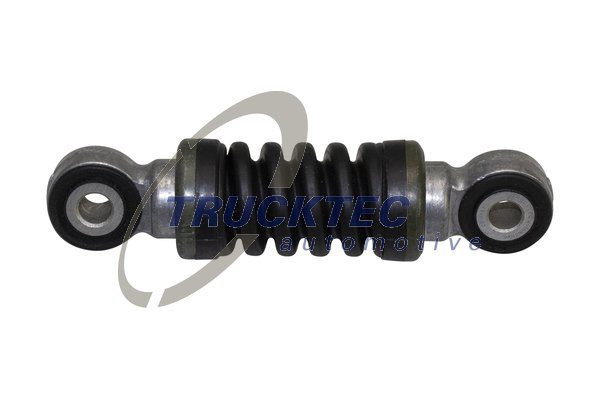 Amortizor vibratii, curea transmisie cu caneluri (0819006 TRU) BMW