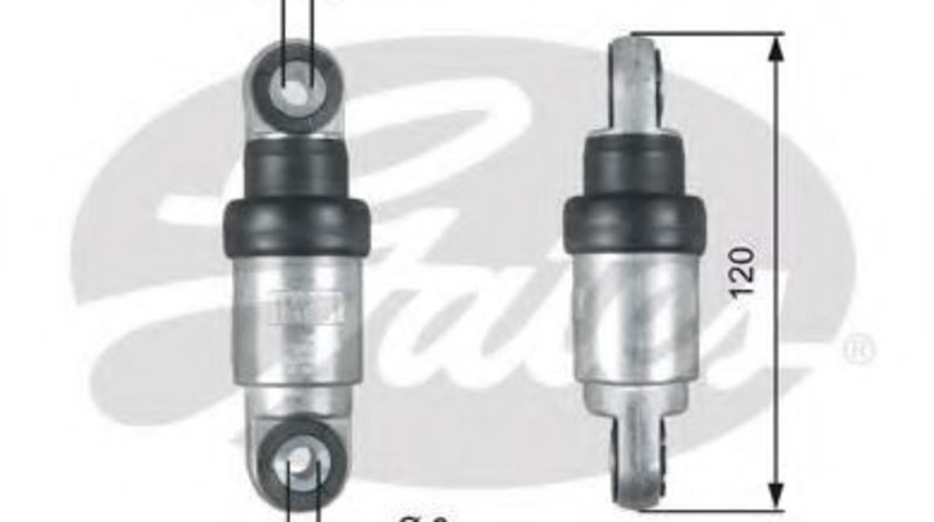 Amortizor vibratii, curea transmisie cu caneluri BMW Seria 3 Touring (E46) (1999 - 2005) GATES T39215 piesa NOUA