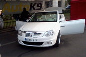 anca20