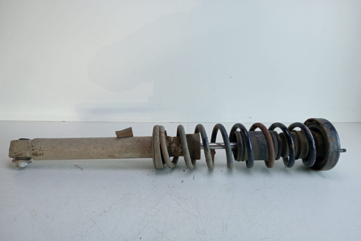 Ansamblu amortizor cu arc dreapta spate BMW Seria 5 E39 [1995 - 2000]
