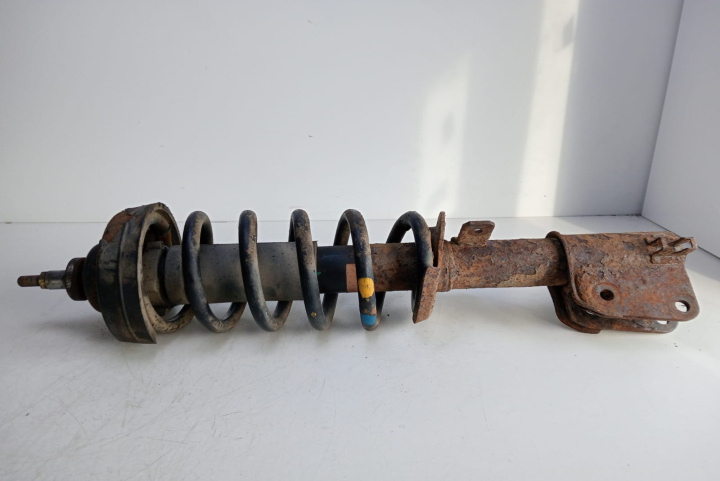 Ansamblu arc +amortizor fata stanga/dreapta Renault Trafic 2 [2001 - 2006]
