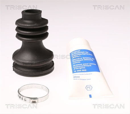 Ansamblu Burduf, Articulatie Planetara Triscan Citroën 8540 28911