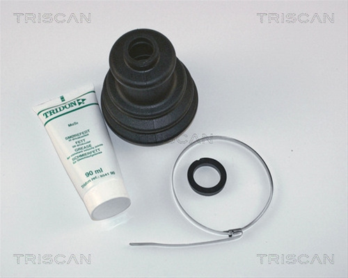Ansamblu Burduf, Articulatie Planetara Triscan Citroën 8540 10804