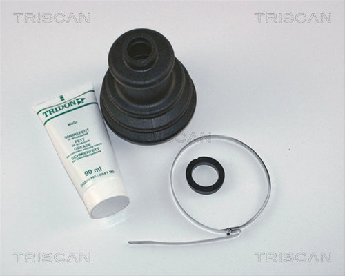 Ansamblu Burduf, Articulatie Planetara Triscan Citroën 8540 10804