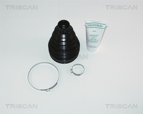 Ansamblu Burduf, Articulatie Planetara Triscan Renault 8540 25811