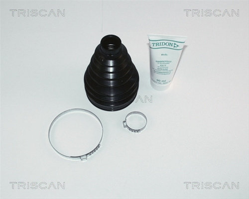 Ansamblu Burduf, Articulatie Planetara Triscan Renault 8540 25811
