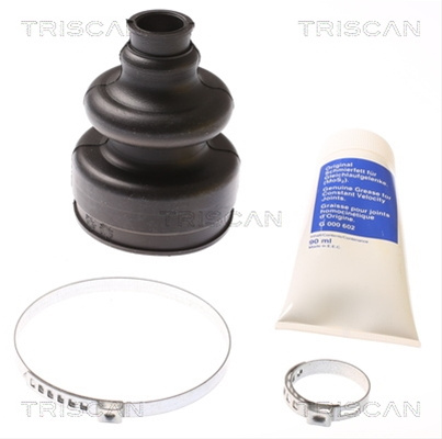Ansamblu Burduf, Articulatie Planetara Triscan Citroën 8540 38904