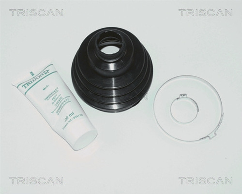 Ansamblu Burduf, Articulatie Planetara Triscan Citroën 8540 10811