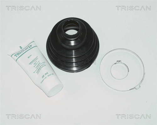 Ansamblu Burduf, Articulatie Planetara Triscan Citroën 8540 10811