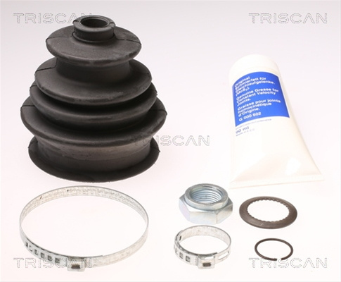 Ansamblu Burduf, Articulatie Planetara Triscan Citroën 8540 38701