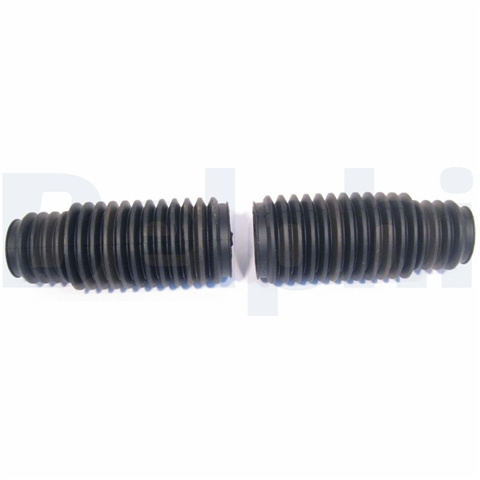 Ansamblu Burduf, Directie Delphi Bmw TBR4117