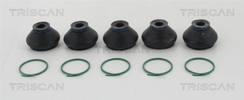 Ansamblu Burduf, Directie Triscan 8501 3614