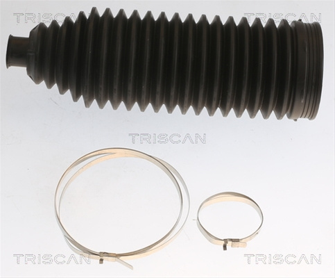 Ansamblu Burduf Directie Triscan Bmw 8500 10057