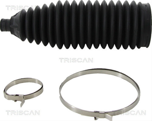 Ansamblu Burduf, Directie Triscan Citroën 8500 38002