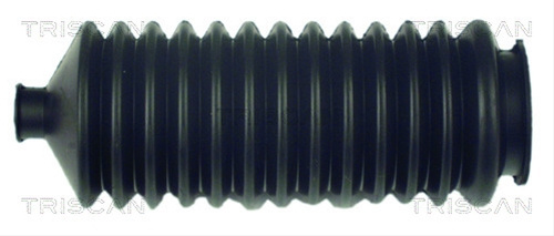 Ansamblu Burduf, Directie Triscan Renault 8500 2558