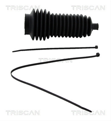 Ansamblu Burduf, Directie Triscan Renault 8500 25009