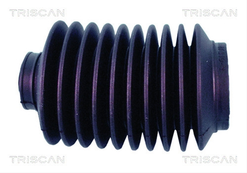 Ansamblu Burduf, Directie Triscan Vw 8500 29054