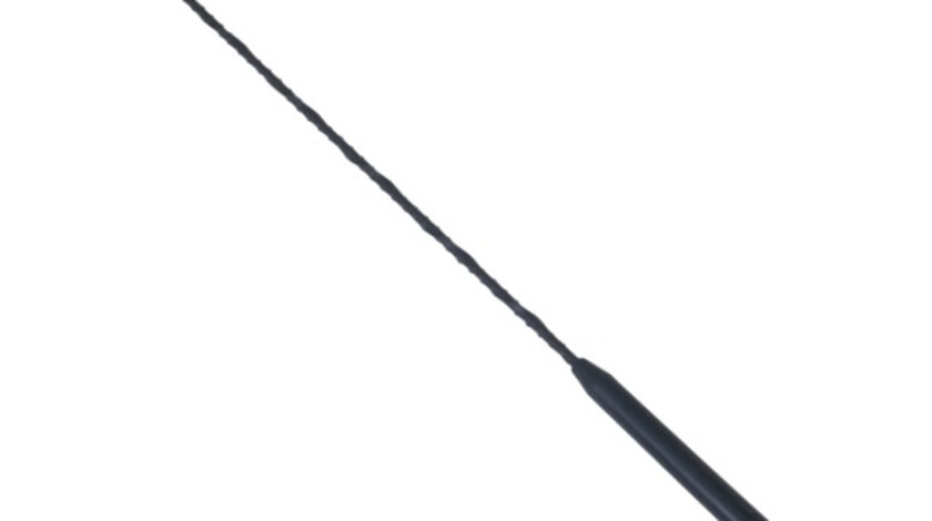 Antena Auto 41CM Cu 2 Adaptoare: 5 Si 6 MM Carmotion 58527