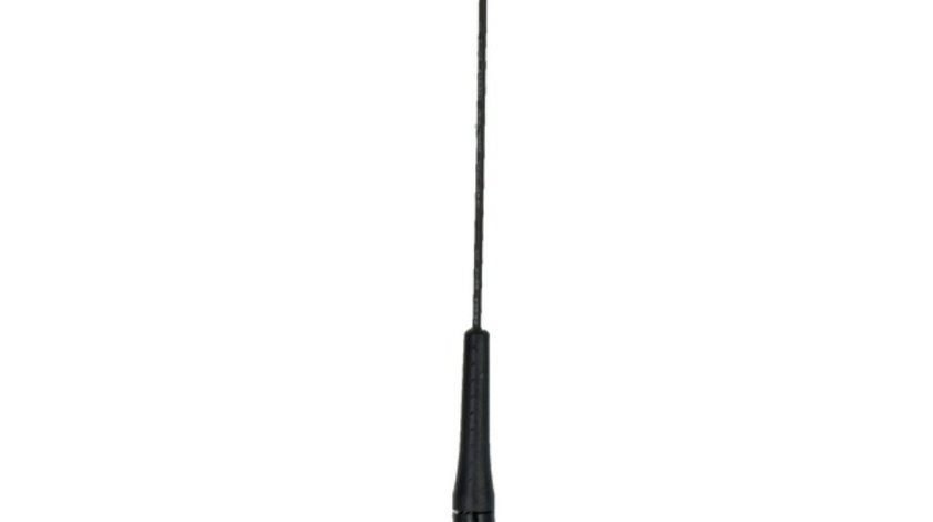 Antena Ornament XT193 Neagra 240518-2