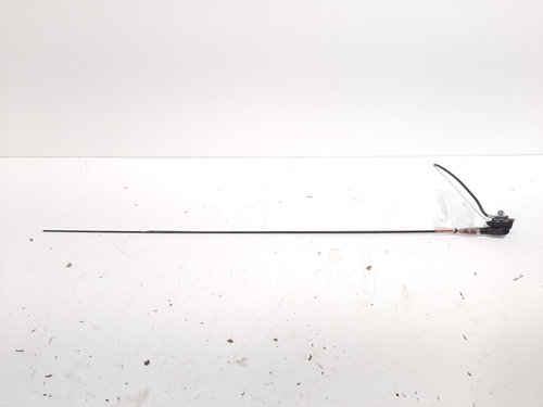 Antena radio, Dacia Sandero 2 Stepway (idi:584887)