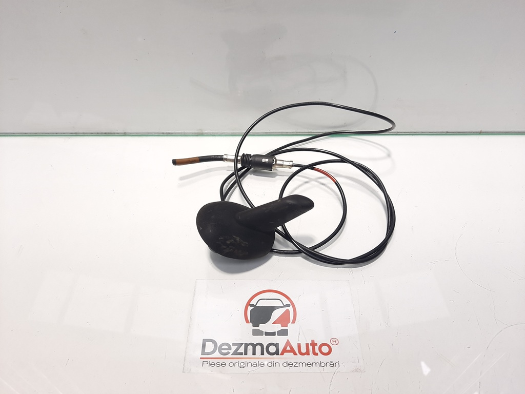 Antena radio, Renault Vel Satis [Fabr 2001-2009] (id:425370)