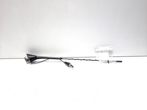 Antena radio, Skoda Octavia 2 Combi (1Z5) (id:510566)