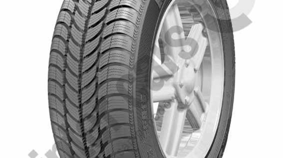 Anvelopa iarna 225/45R17 – Sava