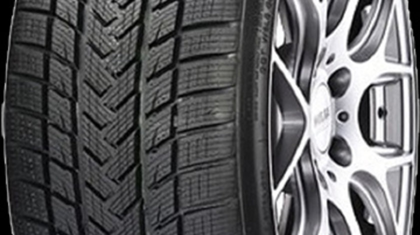 Anvelopa iarna GRIPMAX STATUS PRO WINTER 195/55 R20&#x22; 95H