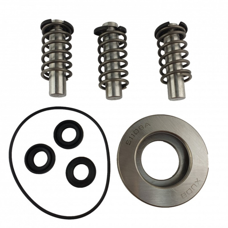 AR-3081270 Set pistoane cu arcuri