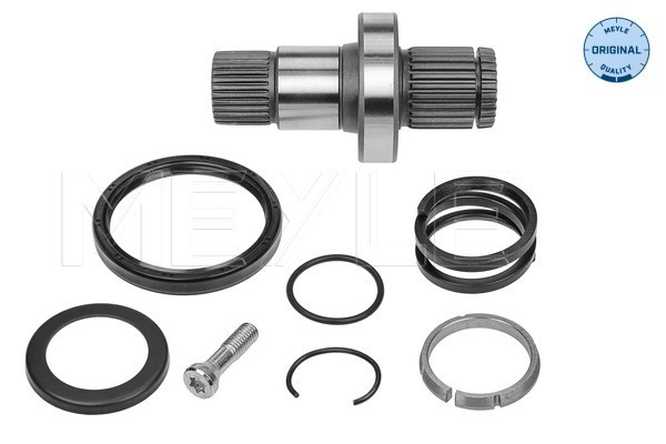 Arbore, diferential punte fata (1004980245 MEYLE) VW