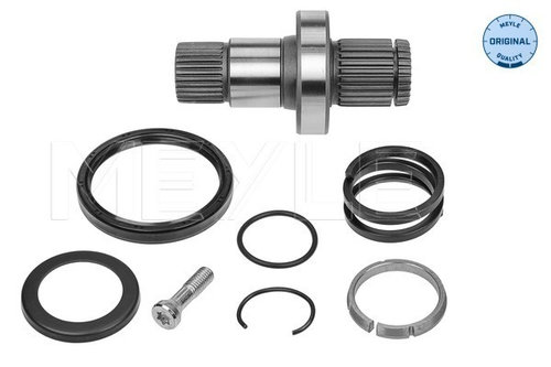 Arbore, diferential punte fata (1004980245 MEYLE) VW