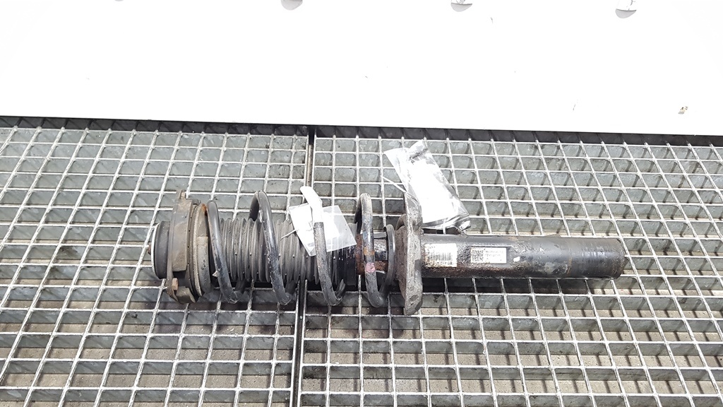 Arc fata, Skoda Octavia 2 (1Z3) 2.0 tdi (id:110747)