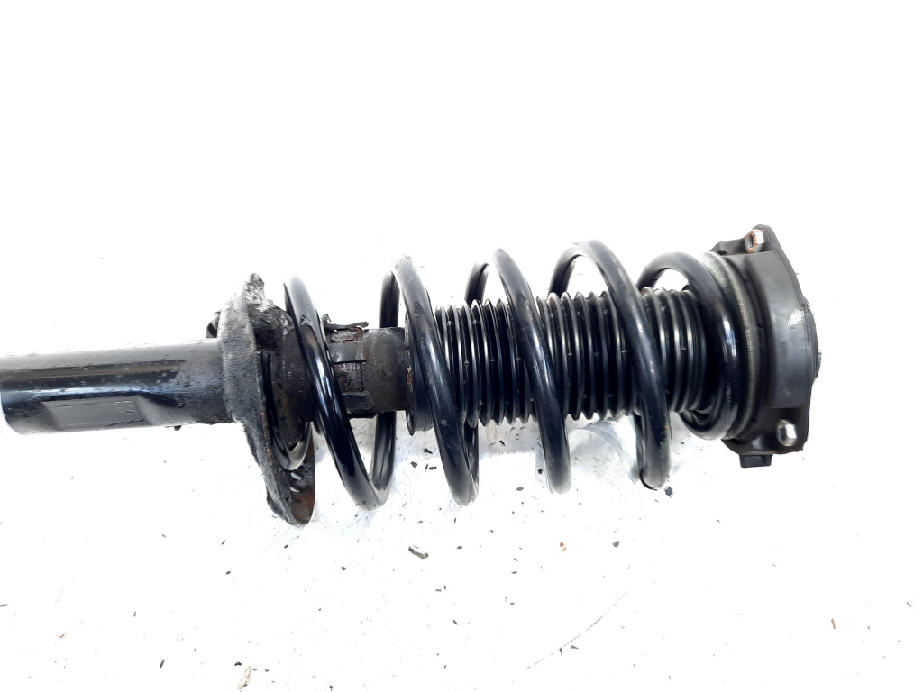 Arc fata, Skoda Octavia 2 Combi (1Z5), 1.9 TDI, BLS, 4X4 (id:539255)