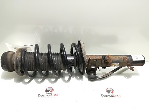 Arc fata, Skoda Roomster Praktik (5J) 1.6 tdi