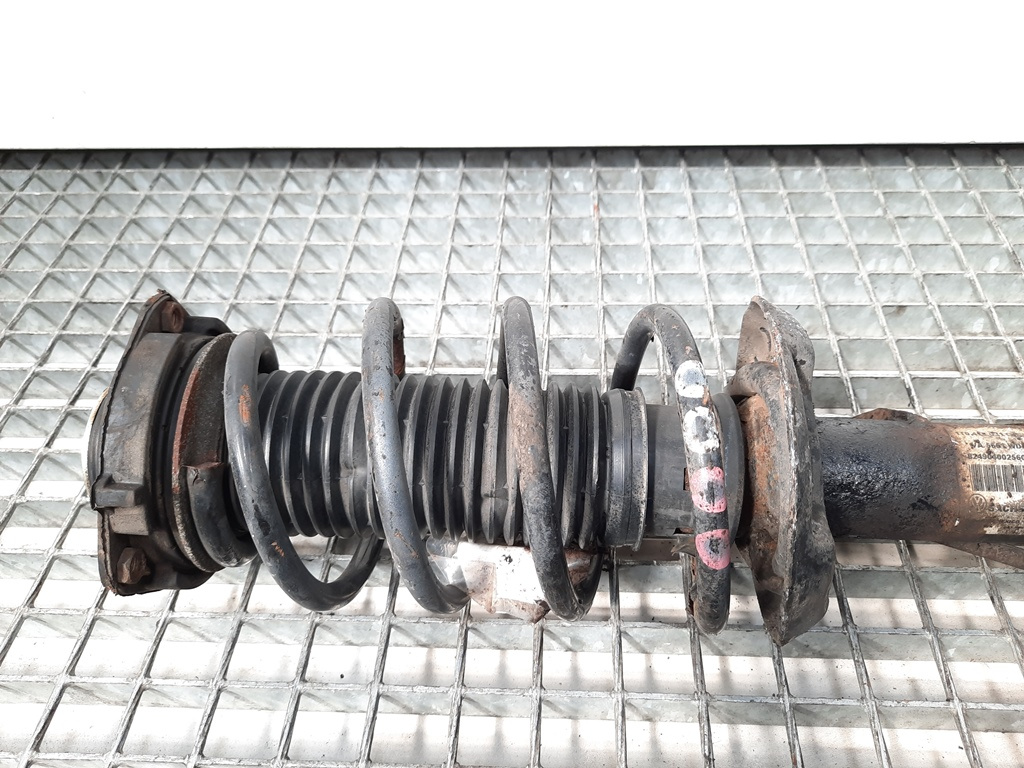 Arc fata, Vw Golf 5 Plus (5M1) [Fabr 2005-2008] 1.9 tdi