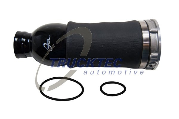 Arc pneumatic, directie Axa fata ambele parti (0730095 TRU) AUDI