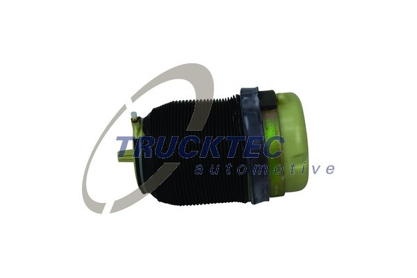 Arc pneumatic, directie Axa spate ambele parti (0730053 TRU) AUDI