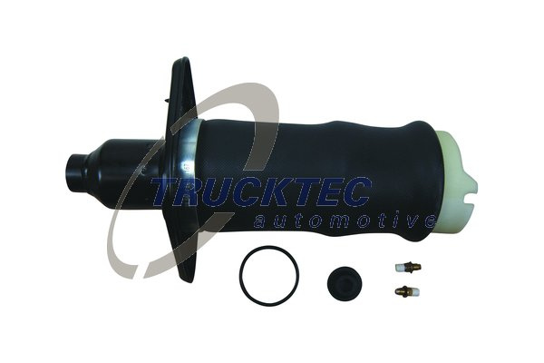 Arc pneumatic, directie Axa spate dreapta (0730126 TRU) AUDI