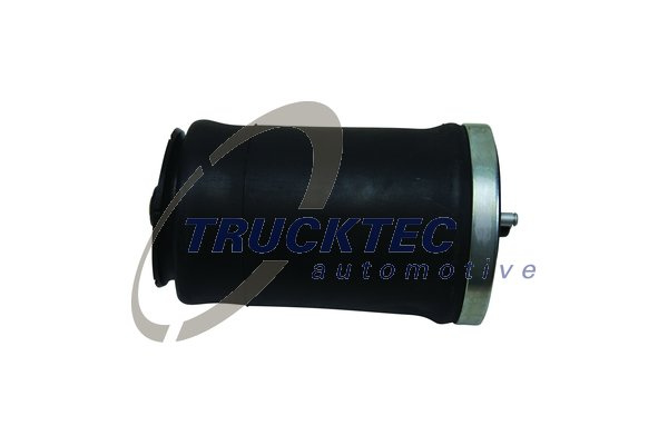 Arc pneumatic, directie Axa spate dreapta (0830045 TRUCKTEC) BMW