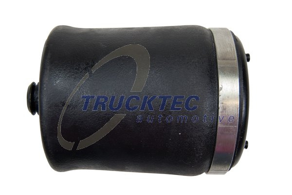 Arc pneumatic, directie Axa spate dreapta (0830047 TRU) BMW
