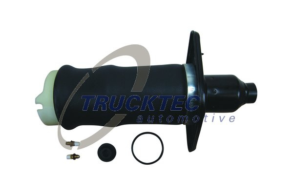 Arc pneumatic, directie Axa spate stanga (0730090 TRU) AUDI