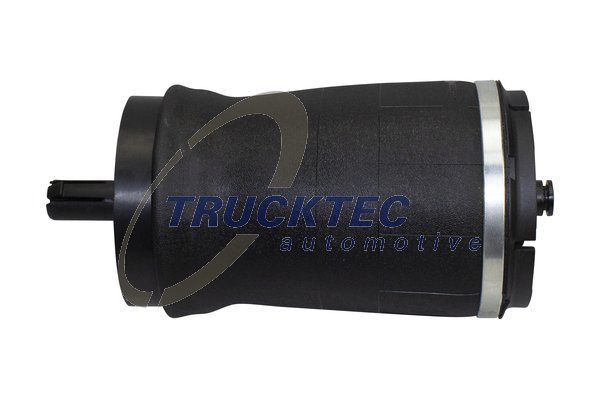 Arc pneumatic, directie Axa spate stanga (2230003 TRUCKTEC) LAND ROVER
