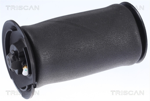 Arc Pneumatic Directie Triscan Bmw 8720 11202
