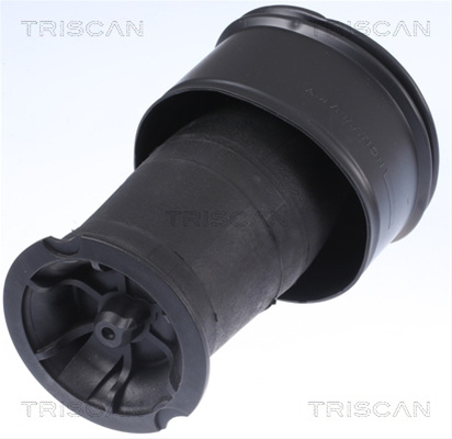 Arc Pneumatic Directie Triscan Citroën 8720 38201